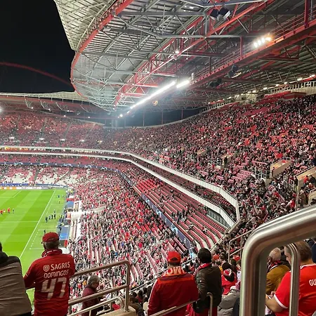 In The Heart Of - דירה *